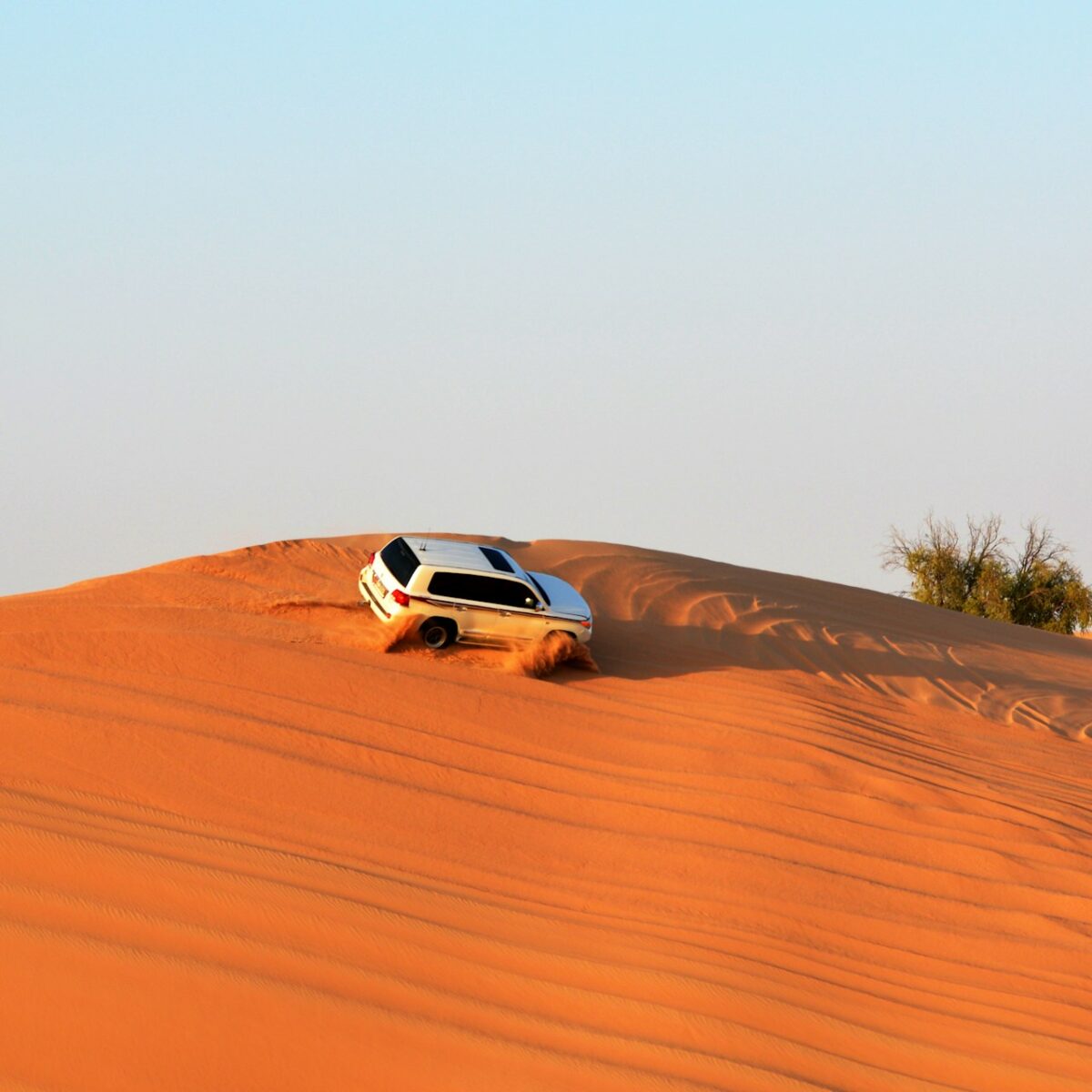 Arabian Heritage