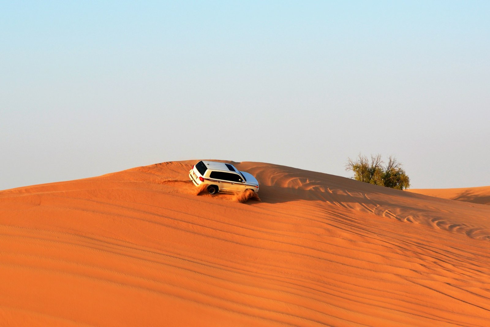 Morning Desert Safari (Private) - Image 1