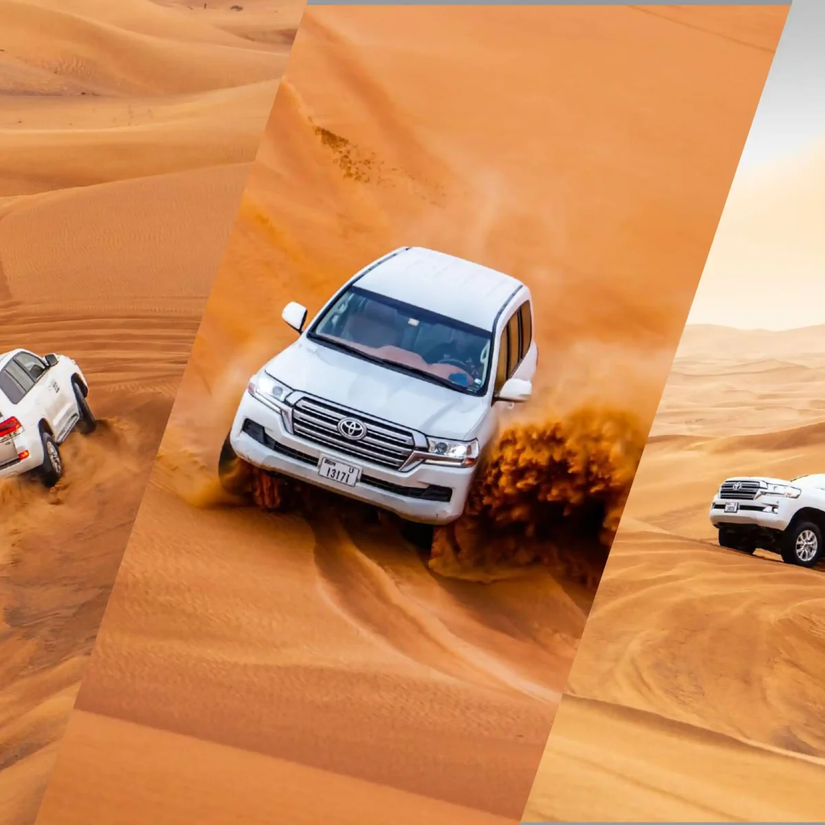 Premium Desert Safari (Sharing)