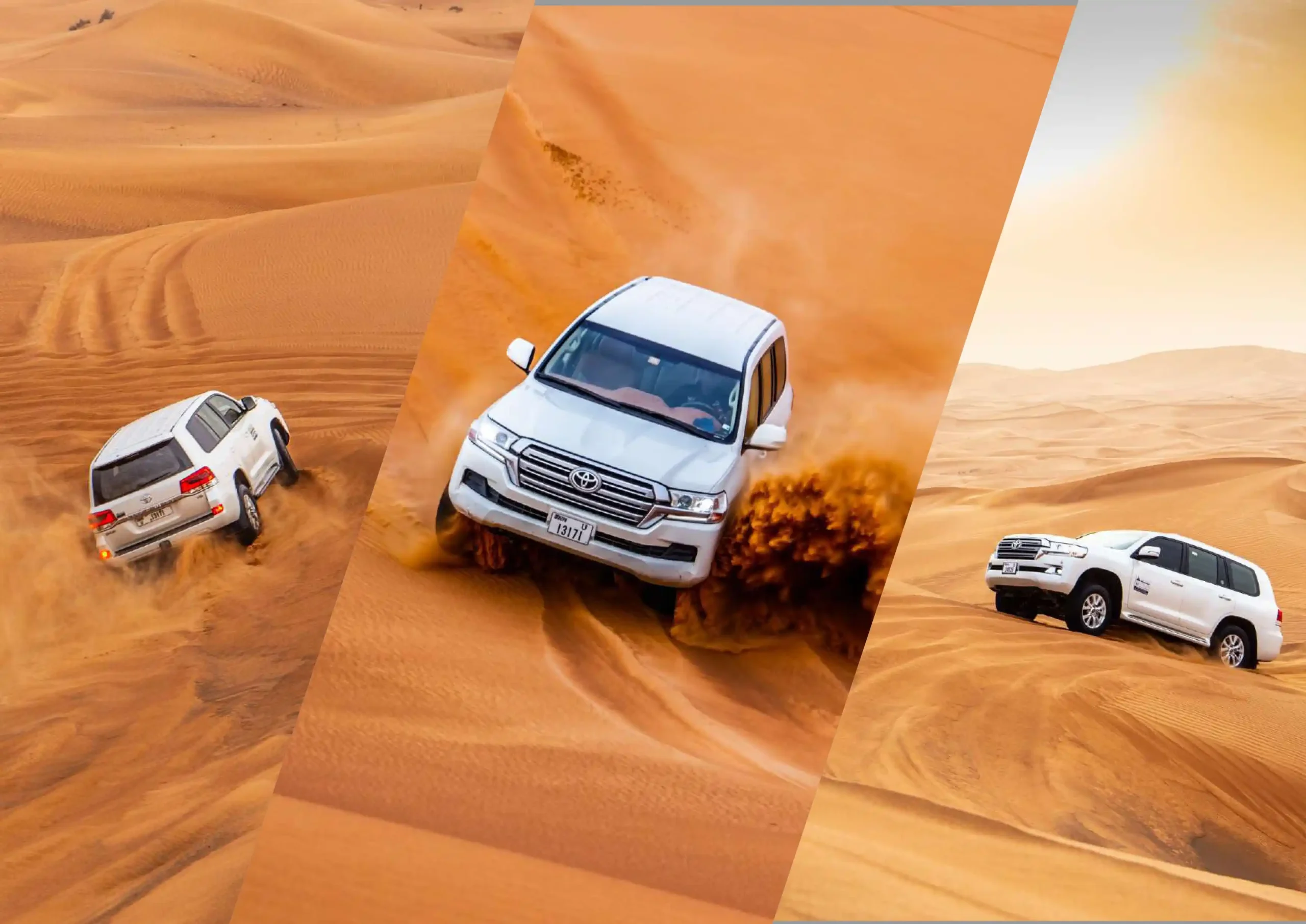 VIP Desert Safari (Sharing) - Image 1